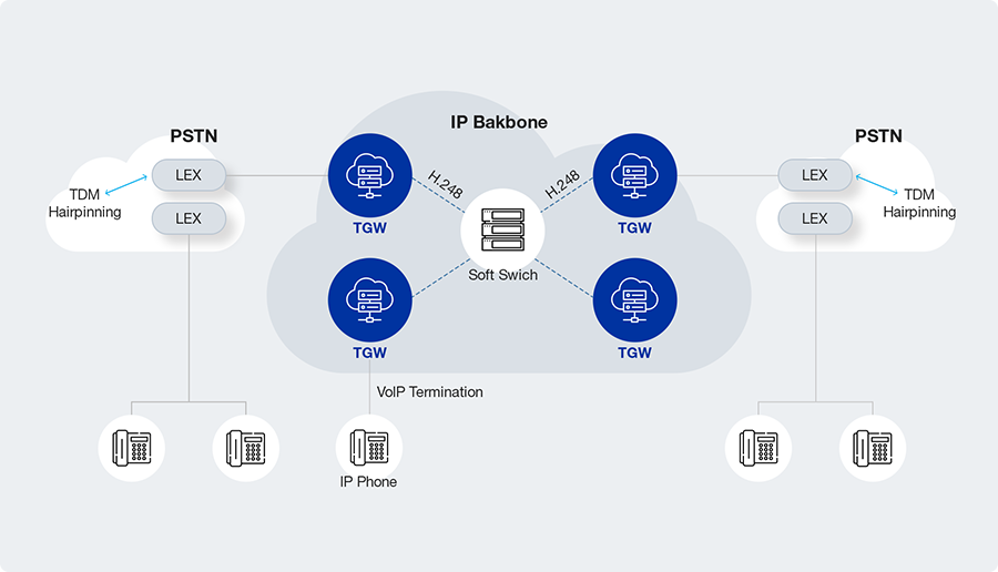 TRUNK GATEWAY Network Configuration Diagram